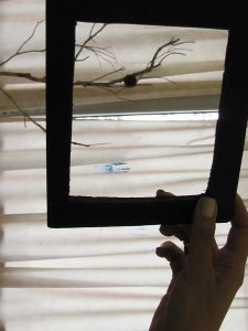 צילום: א' - שמחה